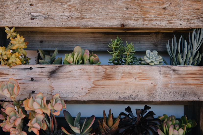 Comment fabriquer une jardinière en palette